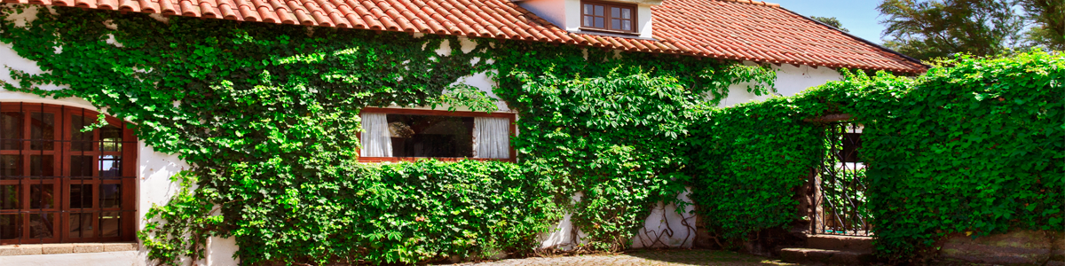 Gestión de alquiler profesional de su inmueble . GESTION TUCAN en Talavera De La Reina